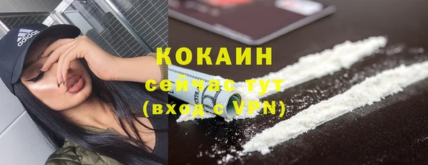 индика Красноперекопск