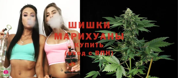 индика Красноперекопск